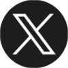 x icon